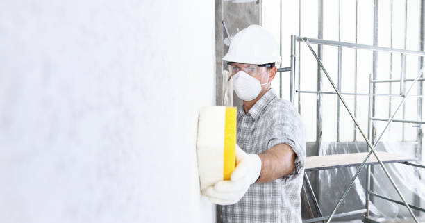 Montgomery, IL Mold Removal Services Company